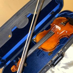 Professional 4/4 Violin